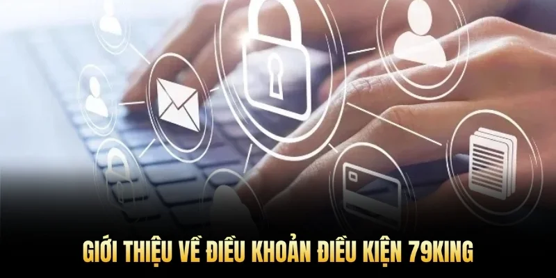 Giới thiệu về điều khoản điều kiện 79King.